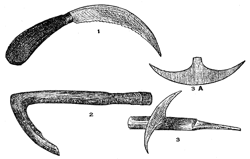 Grass Knife; Root Adze; Rice Cutter.