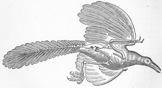 Fig. 182