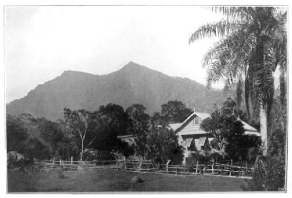 Ortinola, Maracas, Trinidad.