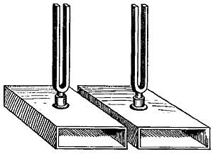 FIG. 174.—When the first fork vibrates, the second
responds.