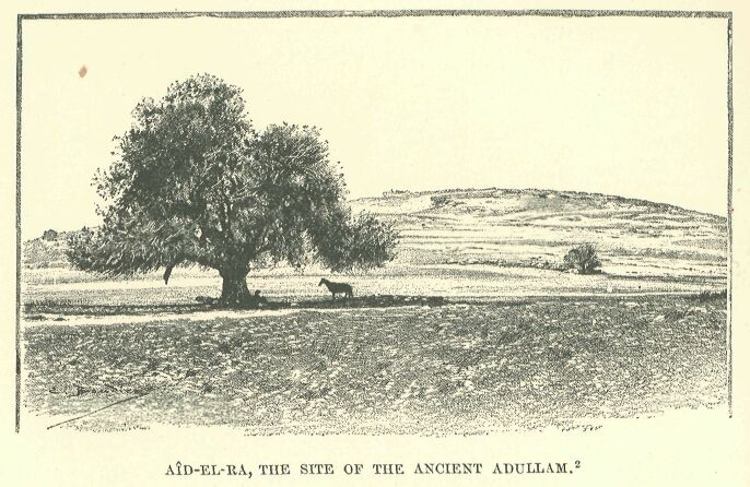 324.jpg Ad-el-ra, the Site of The Ancient Adullam 