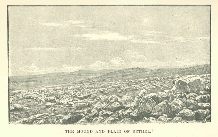 391.jpg the Mound and Plain of Bethel. 