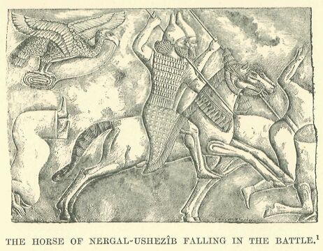 054.jpg the Horse of Nergal-ushezb Falling in The Battle 