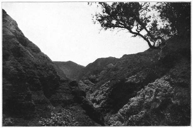 “The Deep Blue Palis of Koolau.”