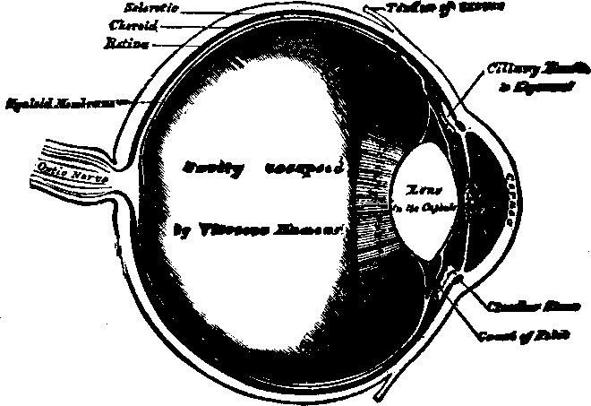 Illustration:
Fig. 62.