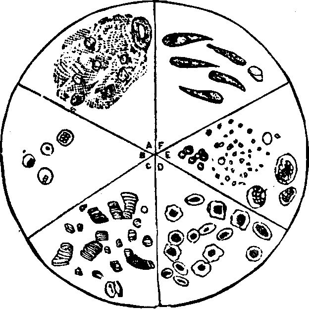 Illustration:
Fig. 3.