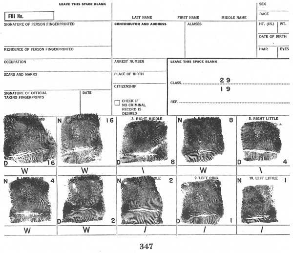 Fig. 347