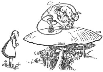 Illo14