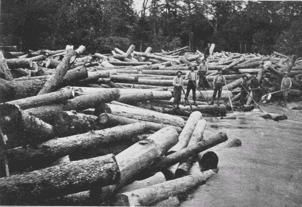 Fig. 18. Log Jam. Adirondack Mountains, New York.