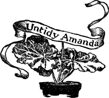 Untidy Amanda