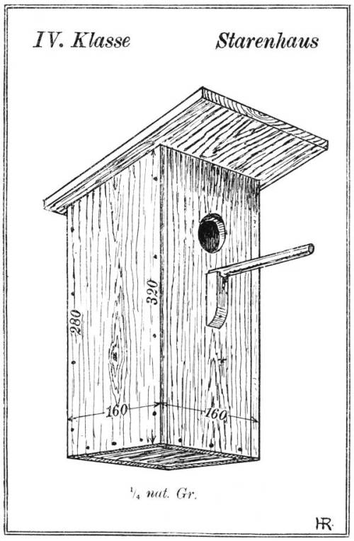 IV. Klasse Starenhaus, ¼ nat. Gr.