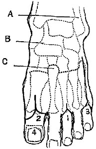 Fig. V.