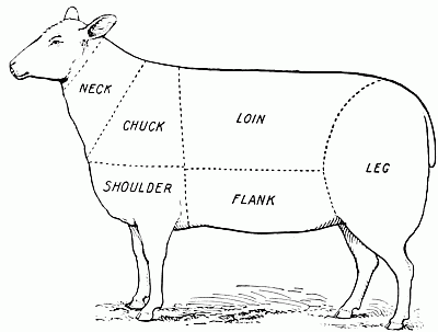 Cuts of lamb