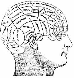 Phrenological Chart