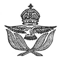 military badge