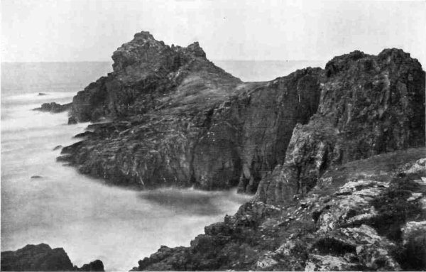 GURNARD'S HEAD.