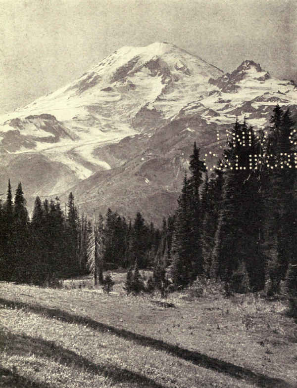 SOUTHEAST SLOPE OF MOUNT RAINIER