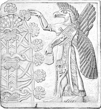 Fig. 8.—Eagle-headed divinity, from Nimroud. Louvre.
Alabaster. Height forty inches. Drawn by Saint-Elme Gautier.