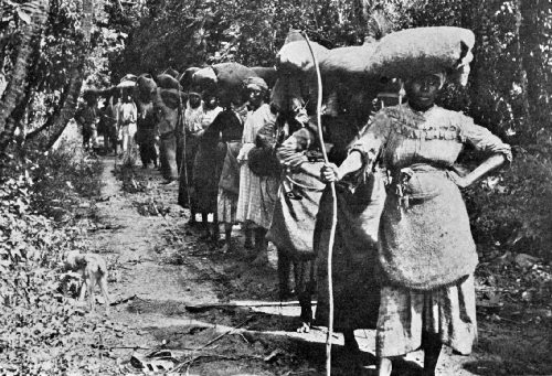 Coffee Pickers Returning from the Fields, Guadeloupe