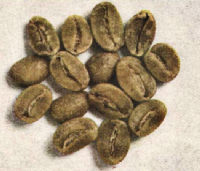 GUATEMALA (Washed)