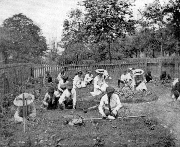 GATHERING THE VEGETABLES