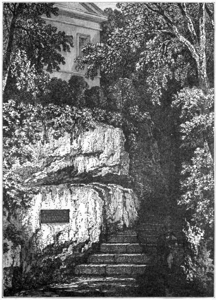 Steps wind up between a rock wall and trees