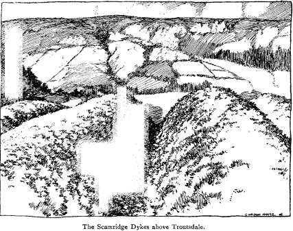 The Scamridge Dykes above Troutsdale.