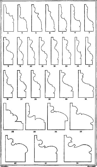 PROFILES OF BASES.