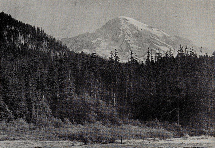 MOUNT RAINIER FROM THE SODA SPRINGS