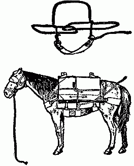 The Bucking Hitch.