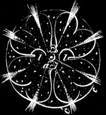 Fig. 38. Young Idyia seen from the anal extremity, magnified; a anal opening, other letters as in Fig. 36.