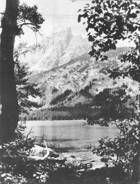 TEEWINOT ACROSS JENNY LAKE

Crandall photo.