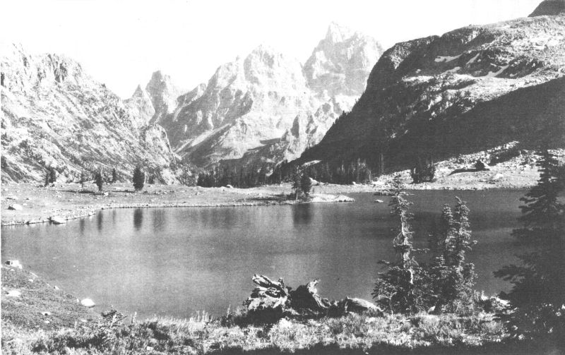 NORTH VIEW OF TETONS