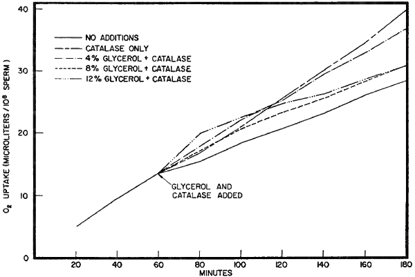 Fig. 11