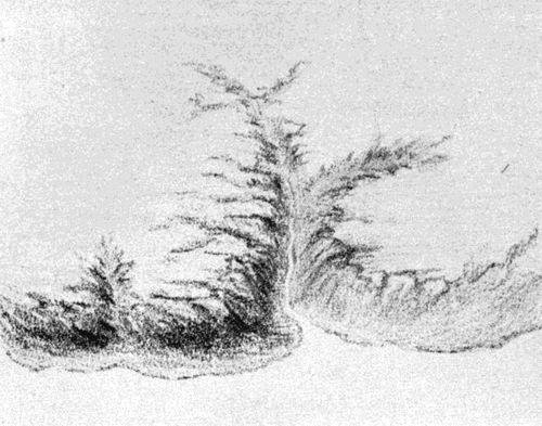 FIG. 1. Sketch of a valley
 at the stage of development corresponding to the cross section shown in Fig. 18.