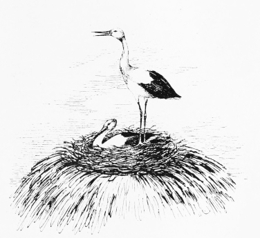 STORK'S NEST ON STRAW-STACK.