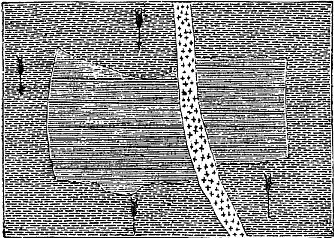 [Illustration:
Fragment of gneiss embedded in another variety of the same rock.]