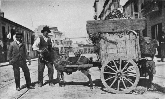 “The city’s street-cleaning department is not such a joke
as it appears.”