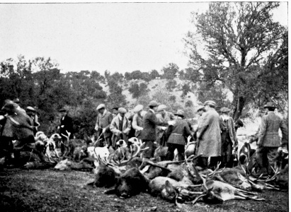 THE DAY’S RESULTS.

Royal Shooting at the Pardo, near Madrid.