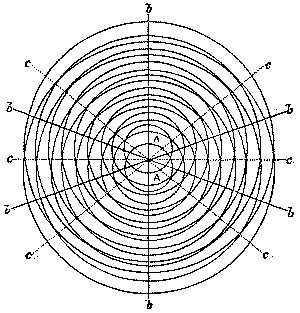 Fig. 315.