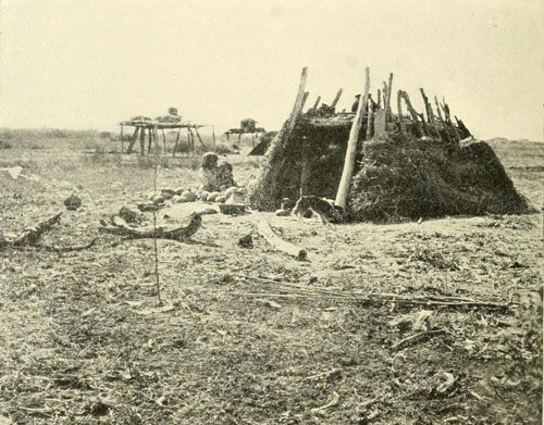 A Cocopa Dwelling,
near Mouth of the Colorado.