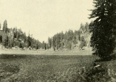 One of the Parks on
the Kaibab.