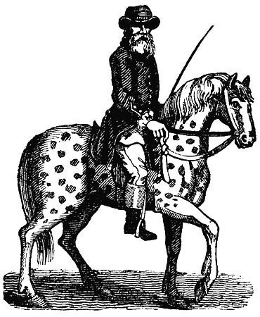 A man riding a horse