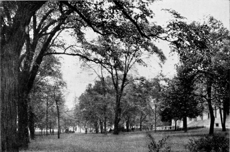 The State House yard on the State Street side