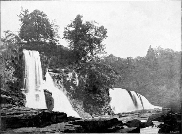 Bonnington Linn