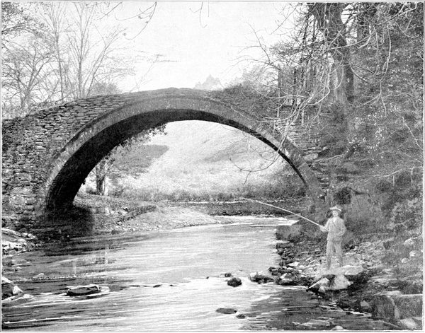 Roman Bridge Near Lanark