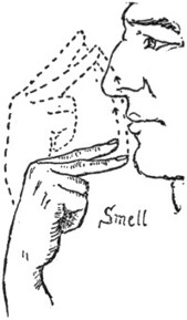 Smell