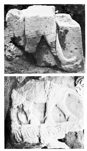 Fig. 18.—TELL AḤMAR. HITTITE STELA.