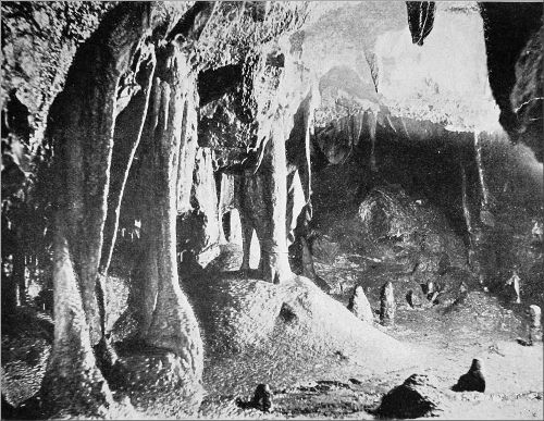 IN STUMP CROSS CAVERN.