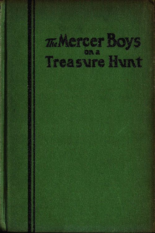 The Mercer Boys on a Treasure Hunt